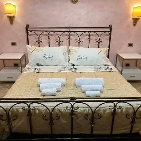 Open Sweet House Villa Velletri